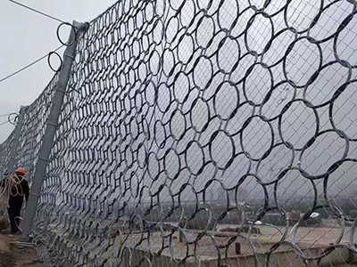 RXI-050 被动环形网图片1